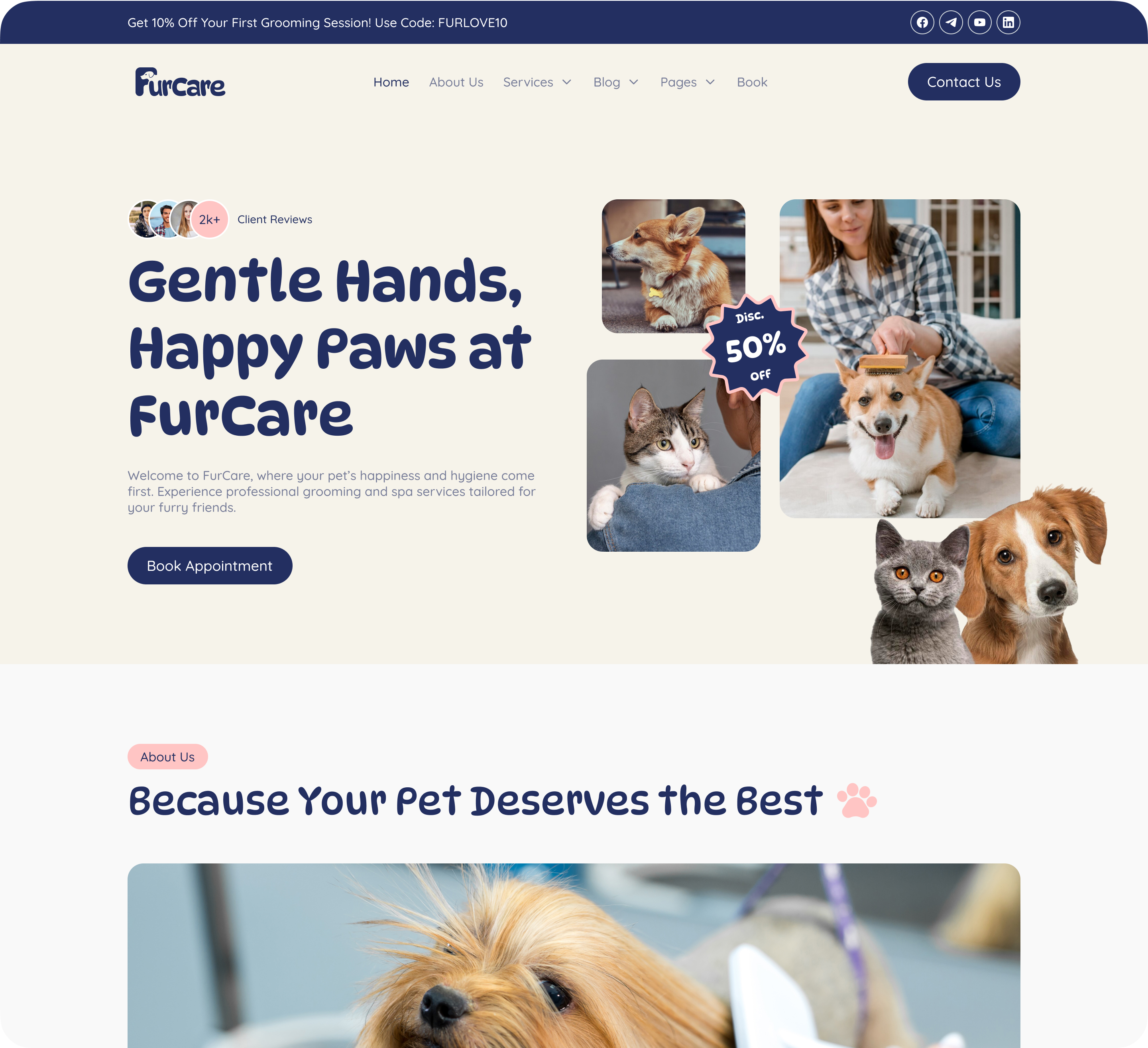 footer image