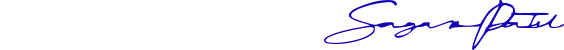 CEO Signature